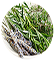 herbes-provence-icone.png
